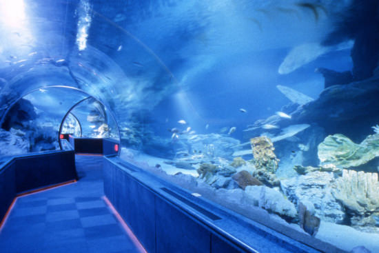 グアムの水族館 アンダーウォーターワールドの感想についておしえます